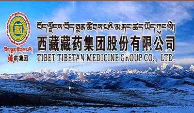 西藏股份有限公司（西藏集团有限公司）